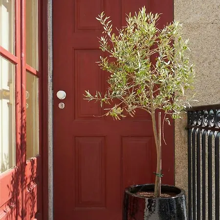 The A5 Smart Luxury Studios Porto Exterior photo